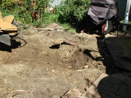 stump gone