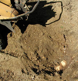 hole