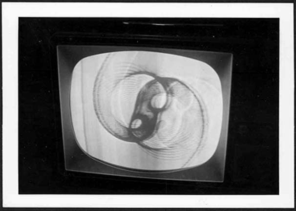 bw tv