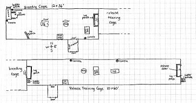 owl cage diagram