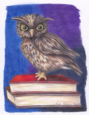 Pittman Owl