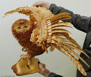 wood owl