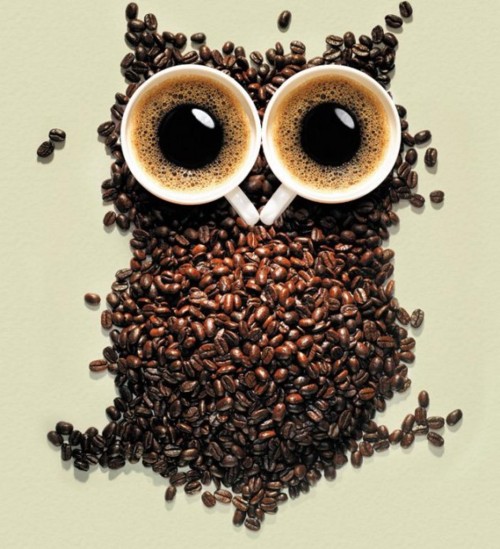 coffeeowl2