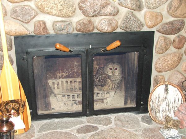 fireplace owl