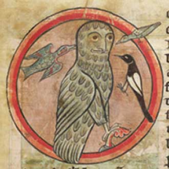 bestiary owl