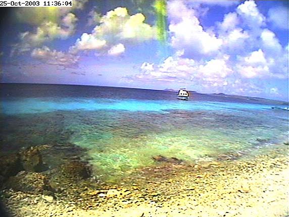 bonaire webcam