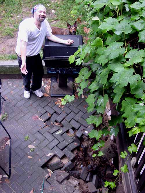 Collapsed Patio 1