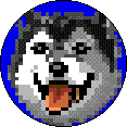 Husky Digital Pog