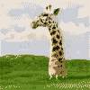 giraffegif