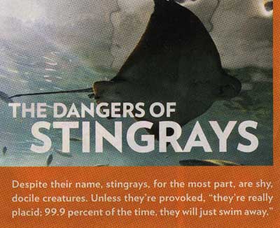 The Dangers of Stingrays