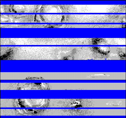 surface disturbances