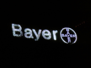 bayer