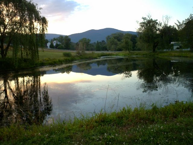 pond