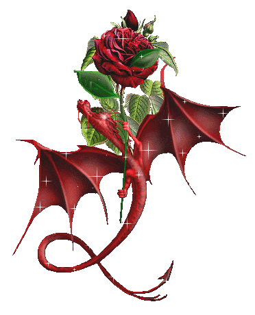 dragon rose