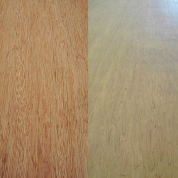 Bintangor_Okoume_Birch_Pine_and_Agathis_Plywood.jpg