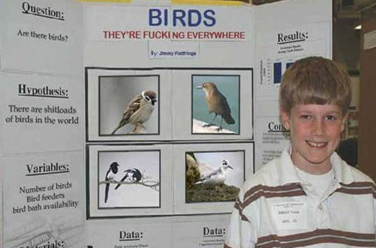 birds.jpg