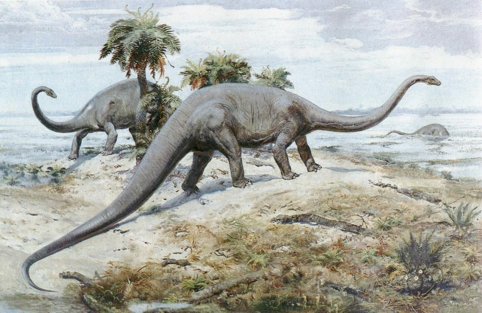 burian_diplodocus.jpg