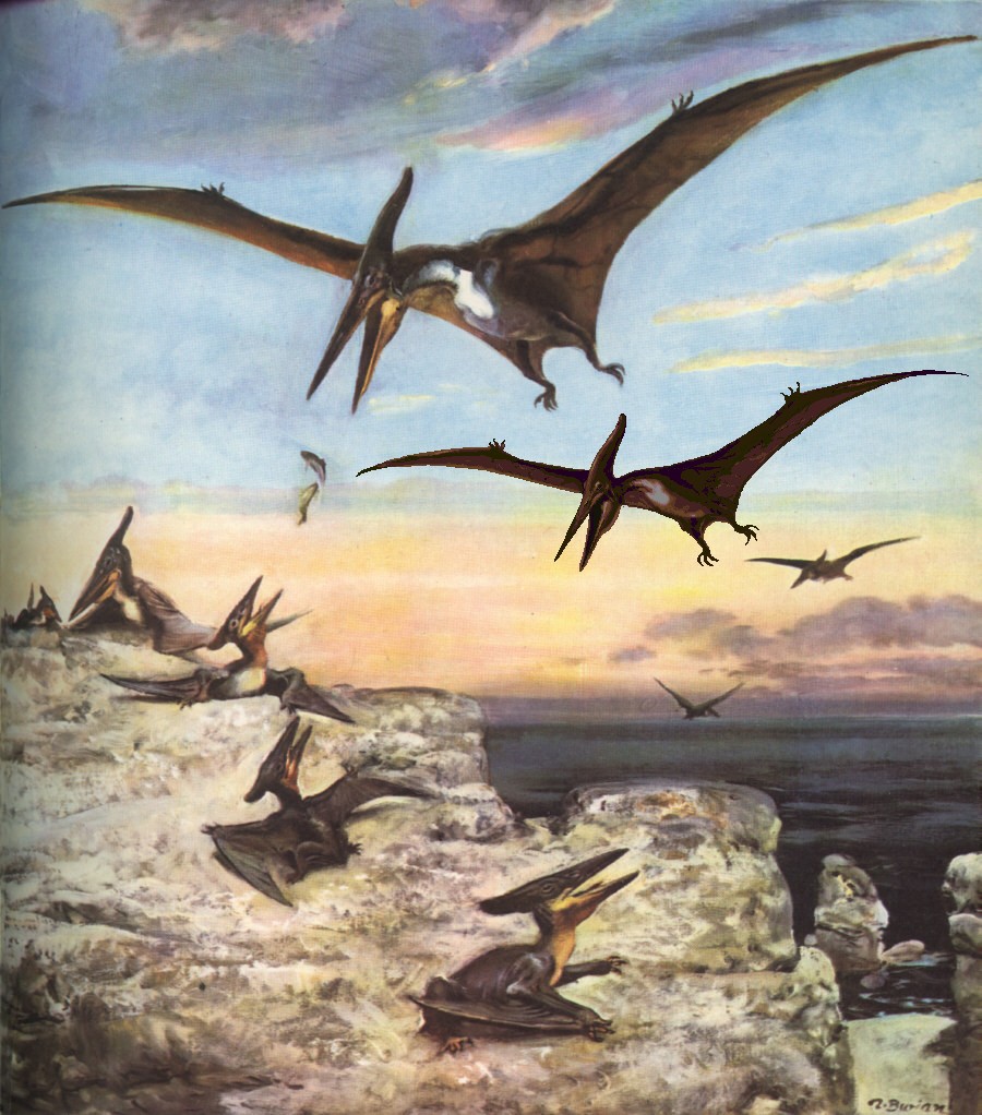 burian_pteranodon.jpg