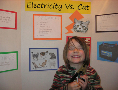 electricity-vs-cat.jpg