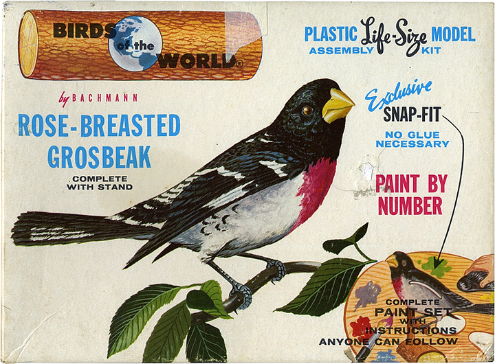 grosbeak