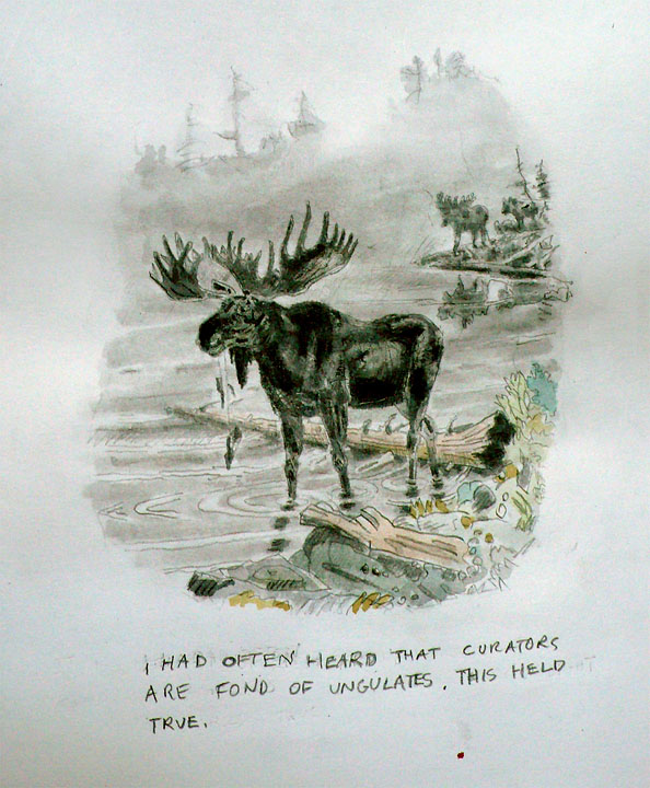 moose.curator.2010.jpg