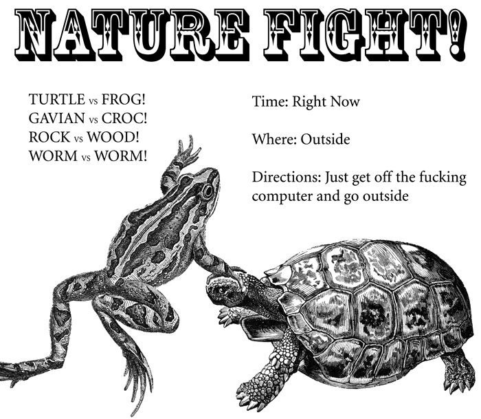 nature fight