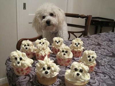 puppy cupcakes.jpg