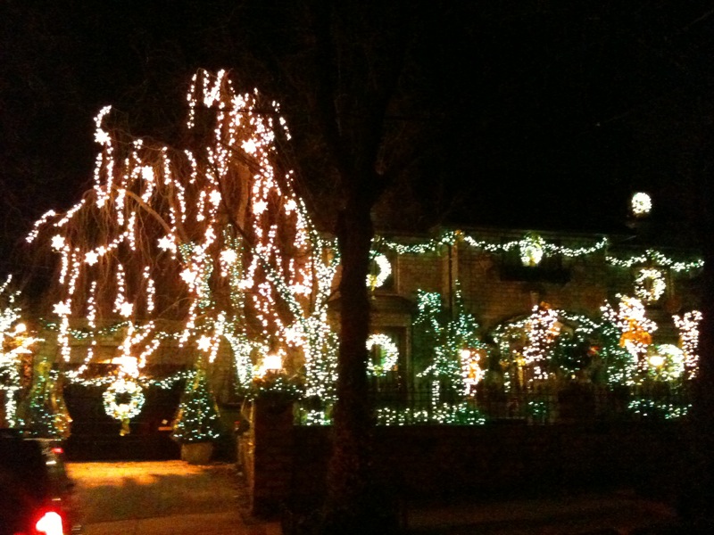 dyker heights 2010