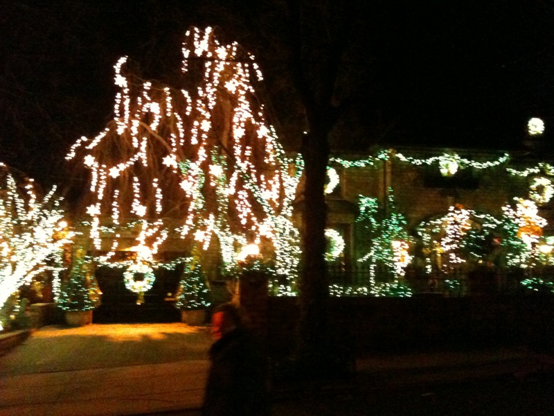 dyker heights 2010