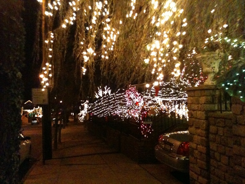 dyker heights 2010