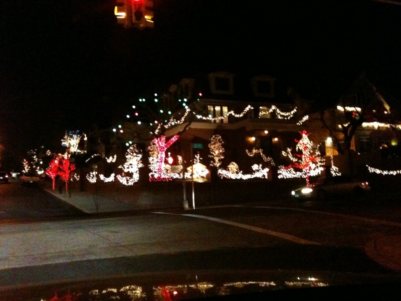 dyker heights 2010