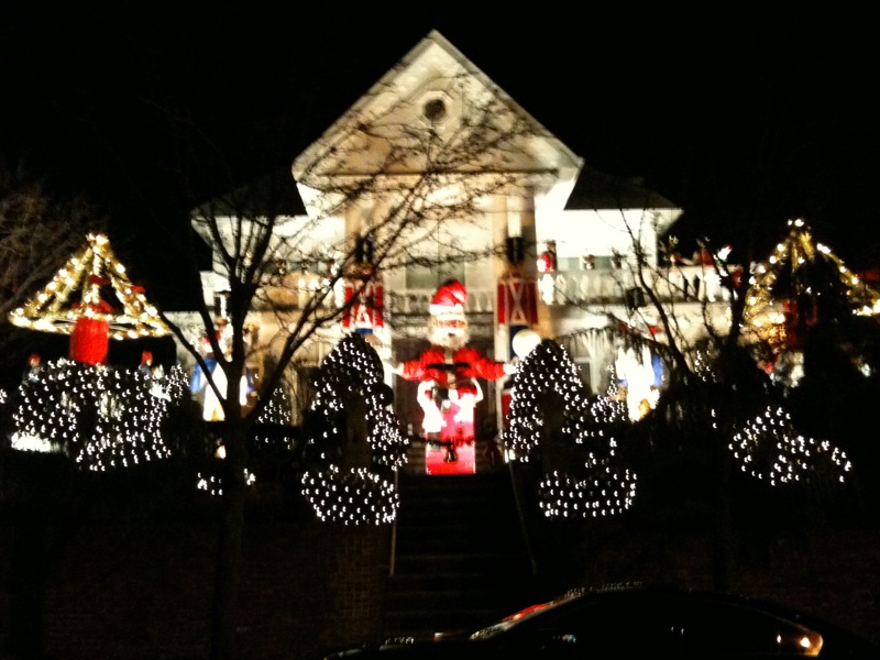 dyker heights 2010