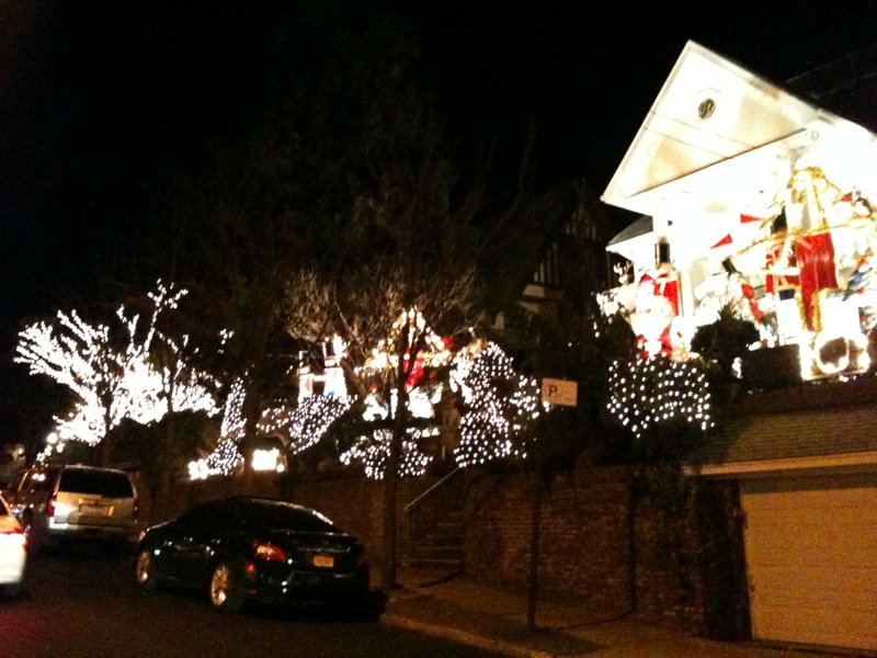 dyker heights 2010