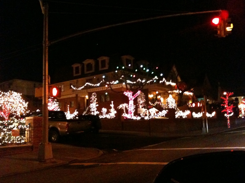 dyker heights 2010