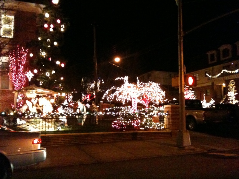 dyker heights 2010