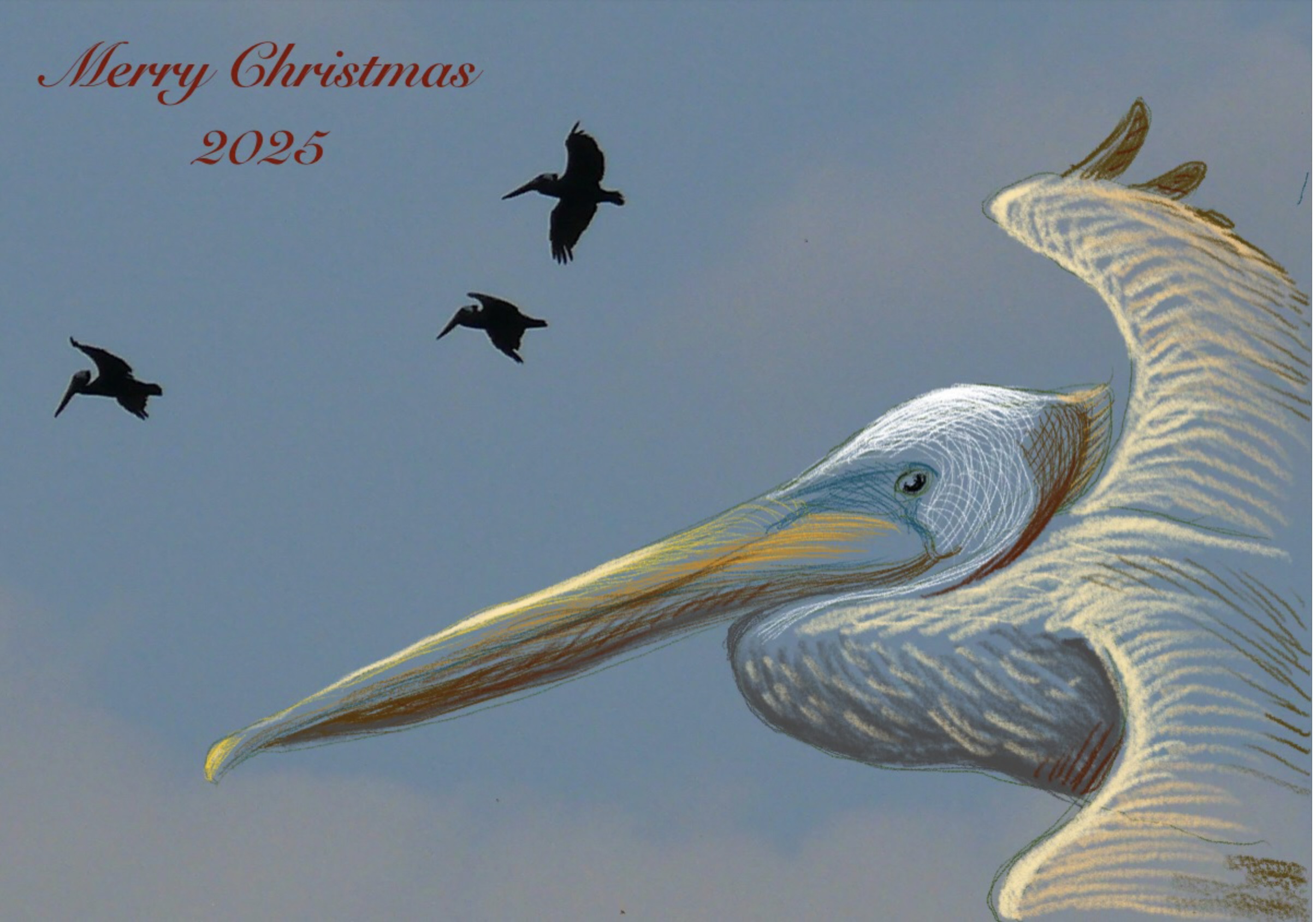 Christmas 2025 Pelican