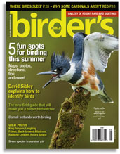 KINGFISHER COVER
