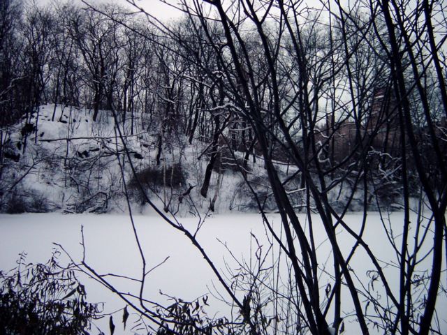 pond 1-28-04