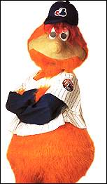 youppi