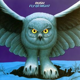owl fly by night