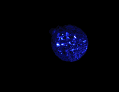 blue planet xmas ball