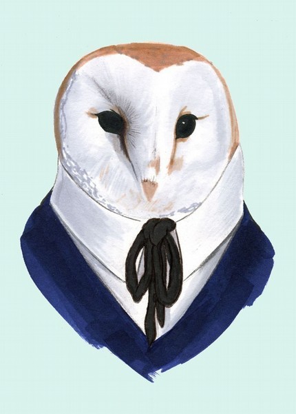 Barn owl Print