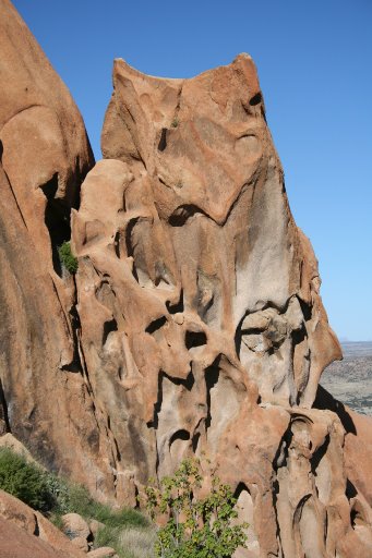 Cape Vic Rock Owl