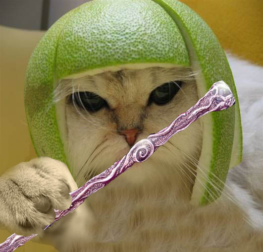 Lime cat cudgel