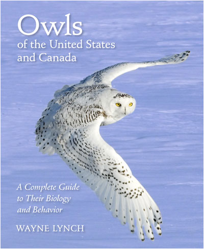 owl lynch book