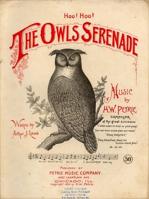 owl's serenade