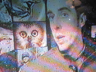 TV Owl 1