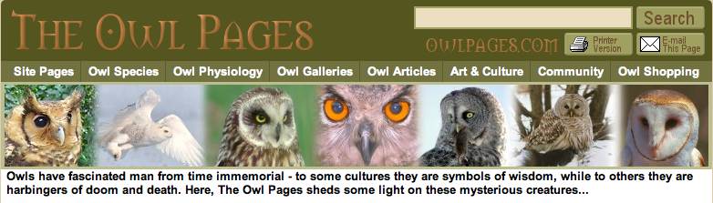 Owl Pages banner