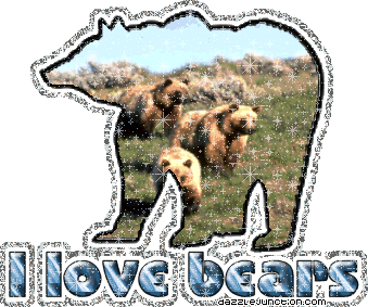 I love bears