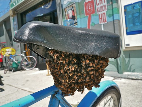 bikebees